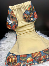 Load image into Gallery viewer, "Hot Air Balloons"-In Stock