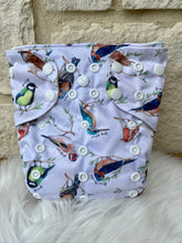 Load image into Gallery viewer, One Size Pocket "Sounds of Spring"-In Stock