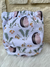 Load image into Gallery viewer, One Size Pocket "Hedgies"-In Stock