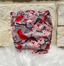 Load image into Gallery viewer, One Size Pocket "Cardinals"-In Stock