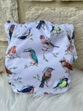 Load image into Gallery viewer, One Size Pocket "Sounds of Spring"-In Stock